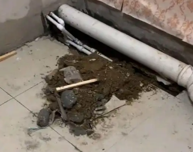 隆昌卫生间漏水检测哪家好
